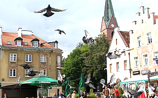 Czy chcesz parku kulturowego na Starym Mieście w Olsztynie? Czy chcesz parku kulturowego na Starym Mieście w Olsztynie?